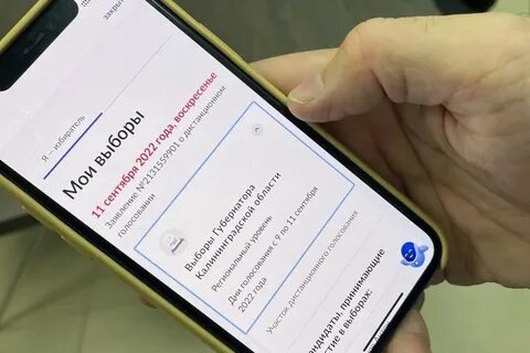 Проголосовать через госуслуги дег