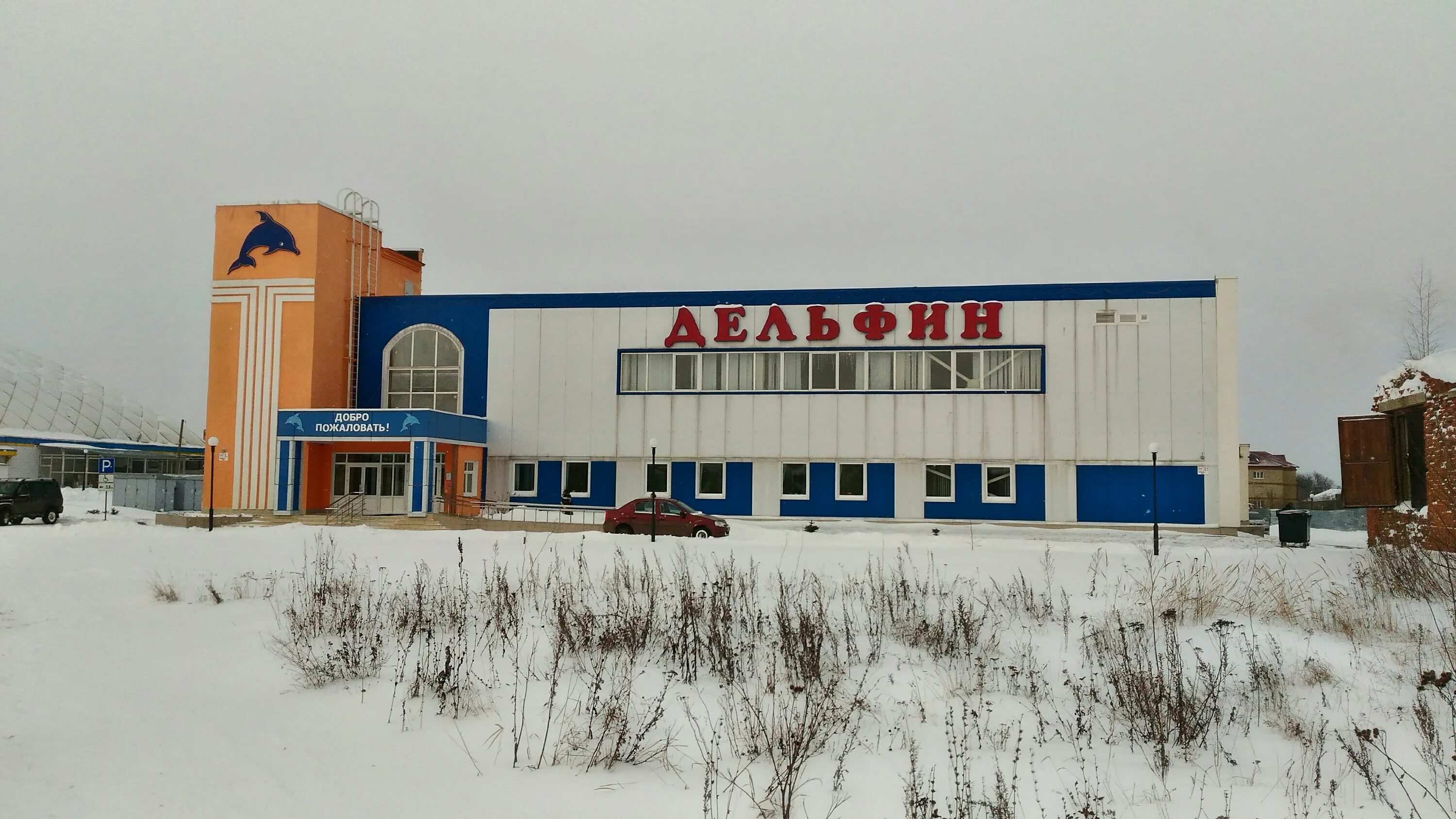 дельфин рузаевка. бассейн рузаевка. бассейн нептун рузаевка. город рудный бассейн дельфин. рузаевка бассейн.