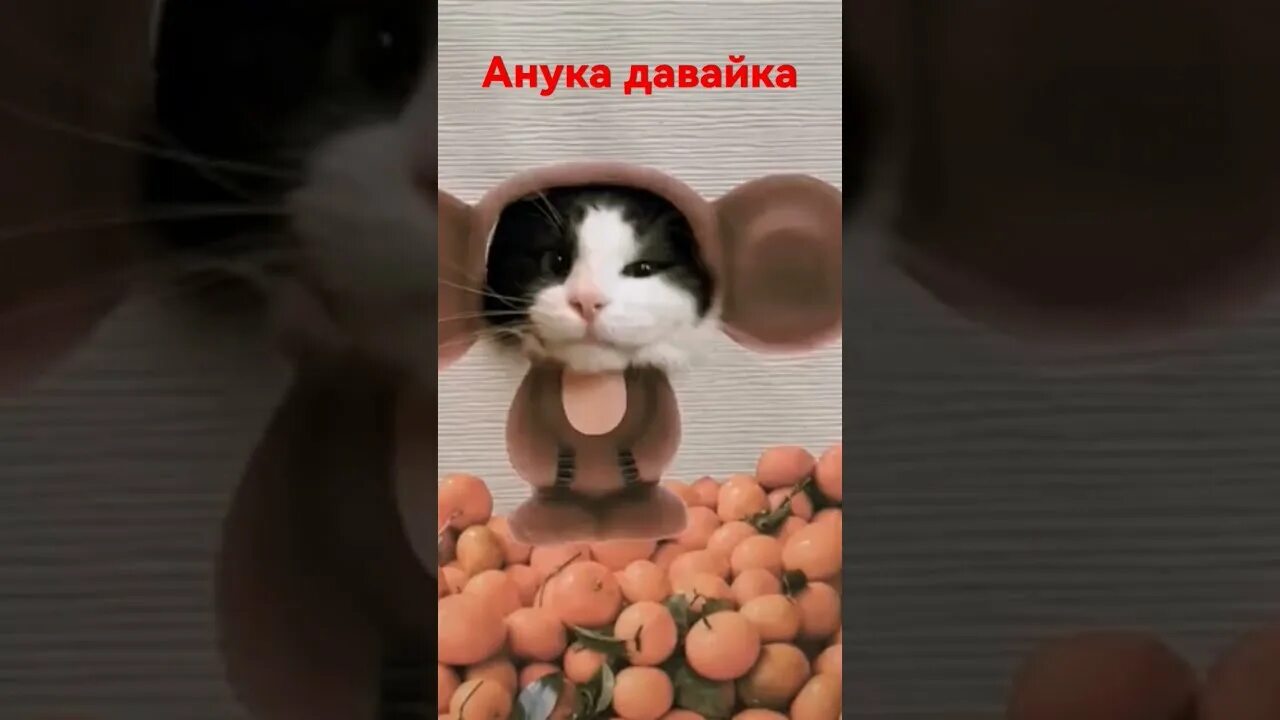 Анука давайка майнкрафт