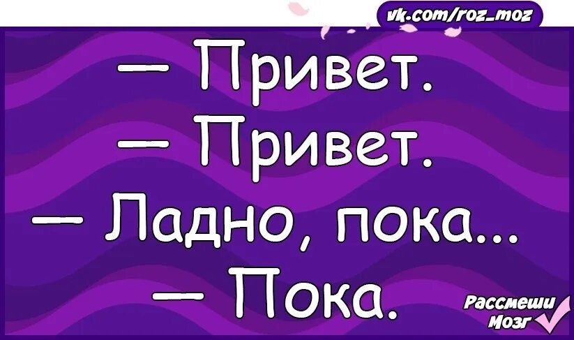 Г привет песня привет. Привет пока пока. Привет привет пока. Привет пока картинки. Привет пока привет пока привет пока привет пока.