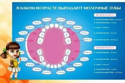 Могут ли выпадать зубы в 5 лет. Могут ли выпадать зубы в 5 лет