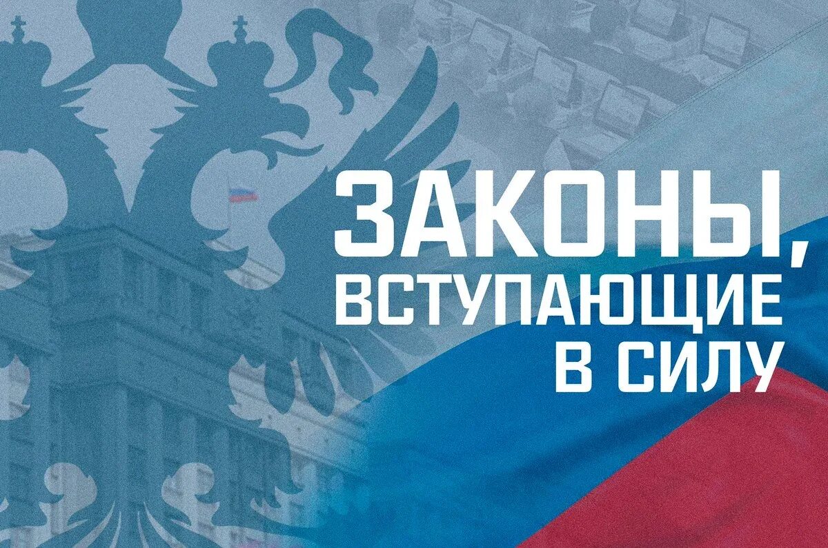 Законы ноябрь 2025. Законы 2025. закон вступает в силу. майские законы. новые законы января.