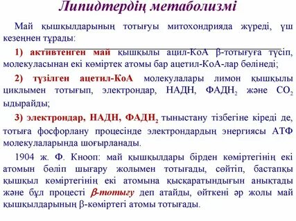 Егде жастағы ерлі-зайыптылардың кездейсоқ жыныстық қатынасқа түсуін көру