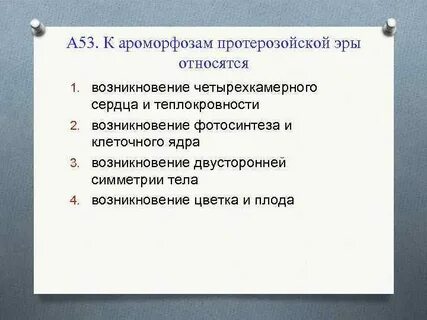 Появление двусторонней симметрии ароморфоз
