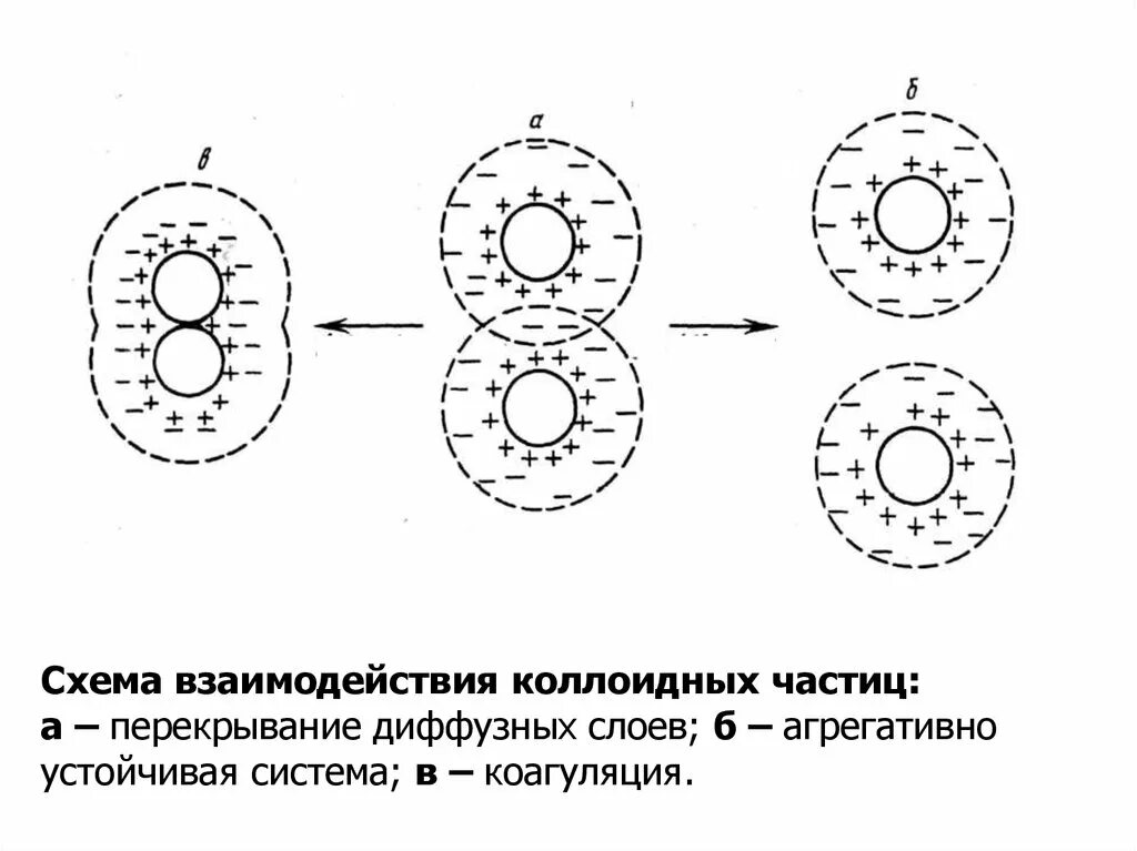 Слипание коллоидных частиц. Потенциальные кривые взаимодействия коллоидных частиц. Схема коагуляции. Коагуляция белков схема. Частица схема.