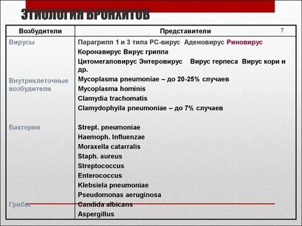 Бронхит возбудитель