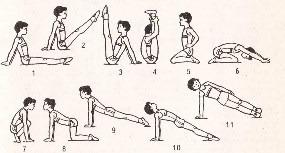 Как называется гимнастические упражнения. Упражнения по физкультуре. Задания по физкультуре. Гимнастические упражнения на физкультуре. Упражнения для физры 7 класс.