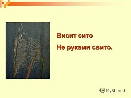 Сито не руками свито ответ