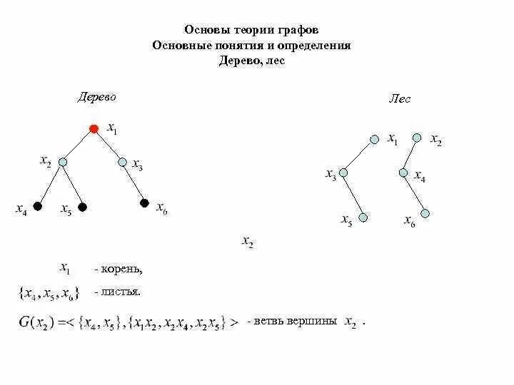 Деревья теория. Теория графов для чайников. теория графов основные формулы. дерево (теория графов). теория графов основные понятия и определения.