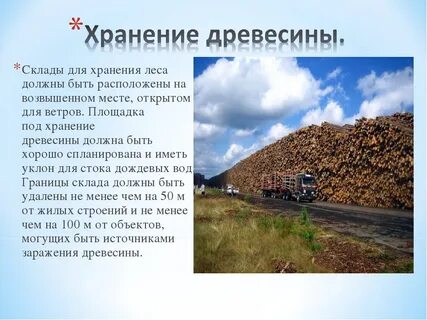 Места складирования древесины