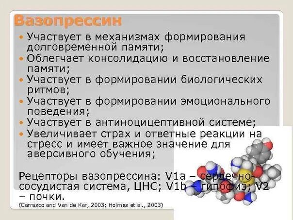 Регуляция выработки вазопрессина. Механизм влияния вазопрессина на память. Механизм действия антидиуретического гормона адг схема. Механизм секреции адг. Схема действия антидиуретического гормона.