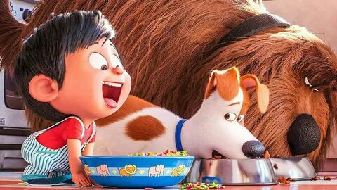 Pet life 2
