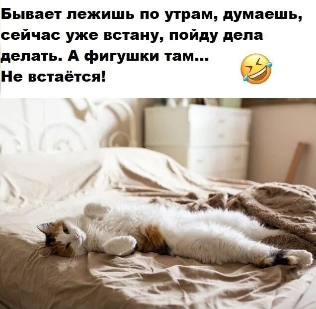 Суббота дома