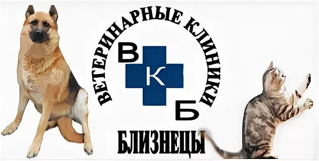 Ветклиника близнецы в бутово. Жулебино ветклиника денталвет ветклиника. Денталвет жулебино. Денталвет. Денталвет жулебино.