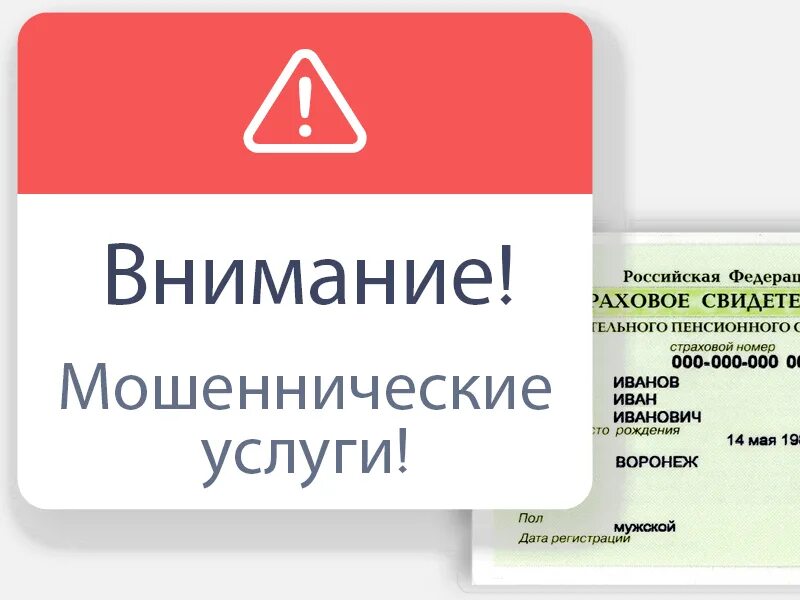 Пенсионные мошенники. ПФР мошенники. Пенсионный фонд напоминает мошенники. Пенсионный фонд и мошенники фото. Пенсионный фонд самая мошенническая.