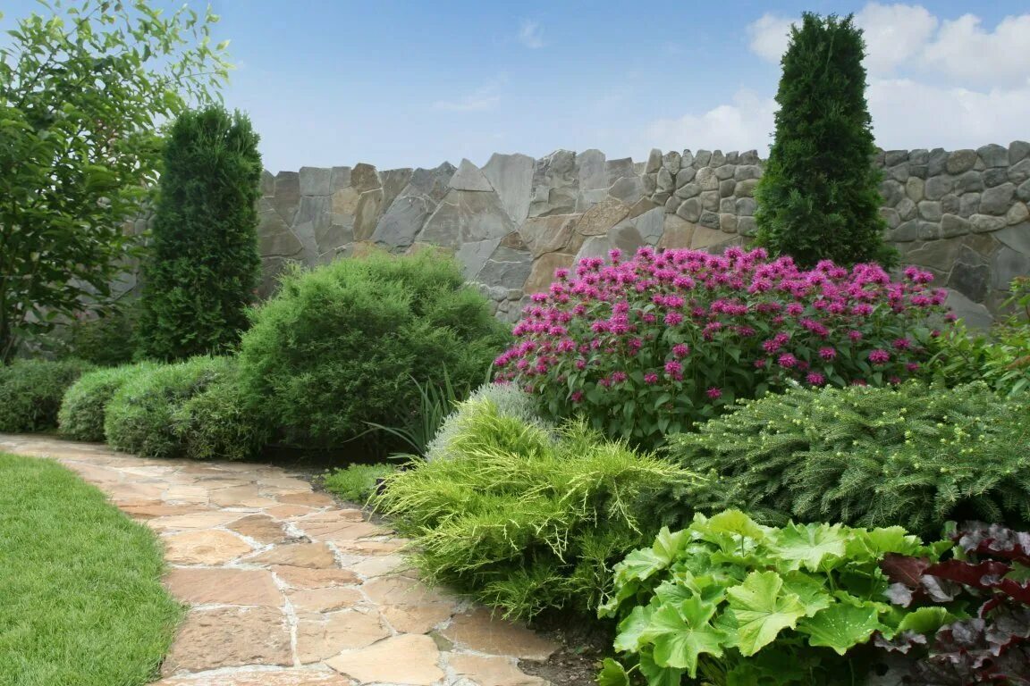 Кустарник клумба
