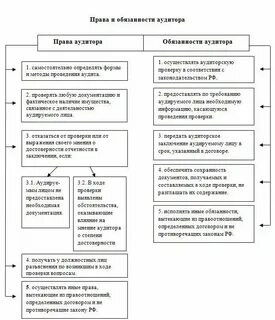 Должность аудит