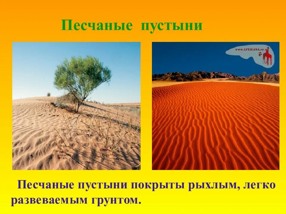 Про пустыни 4 класс. Пустыня окружающий мир. презентация на тему пустыня. пустыни мира презентация. пустыни 4 класс.