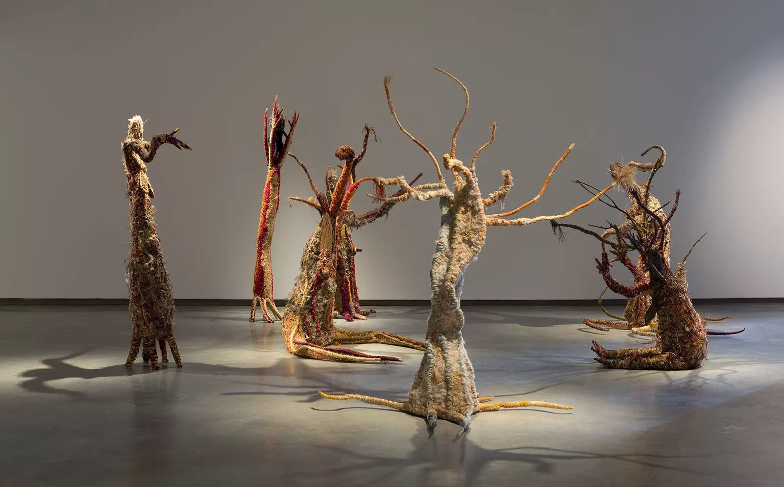 Tree sisters