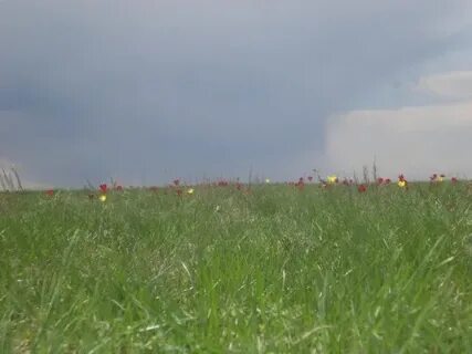 Погода бережновка николаевский волгоградский