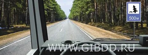 Pdd 60