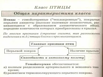 Свойства кл