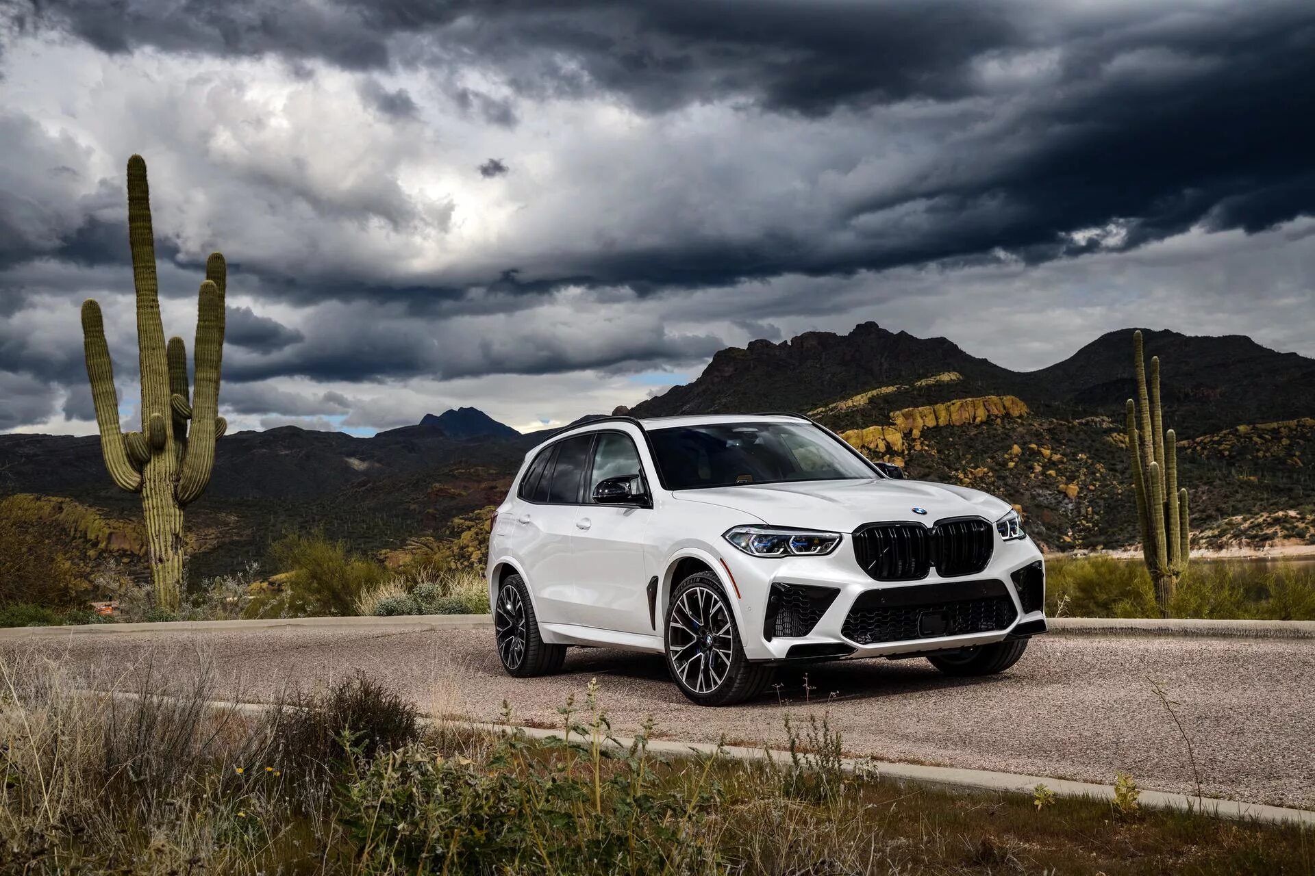 Бмв х5 компетишн. БМВ x5m Competition. BMW x5m 2020. BMW x5m 2021. BMW x5m White.