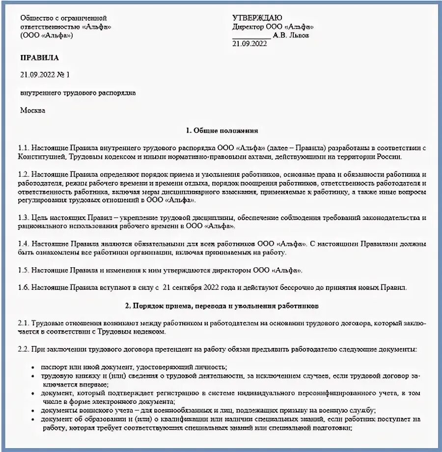 Внутренний распорядок организации пример. Бланк правил внутреннего трудового распорядка.