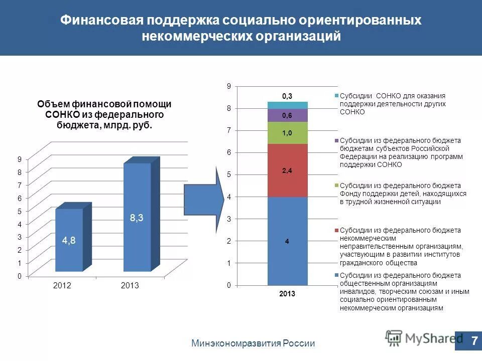 Программа проект социально ориентированной некоммерческой организации Механизм реализации социального проекта