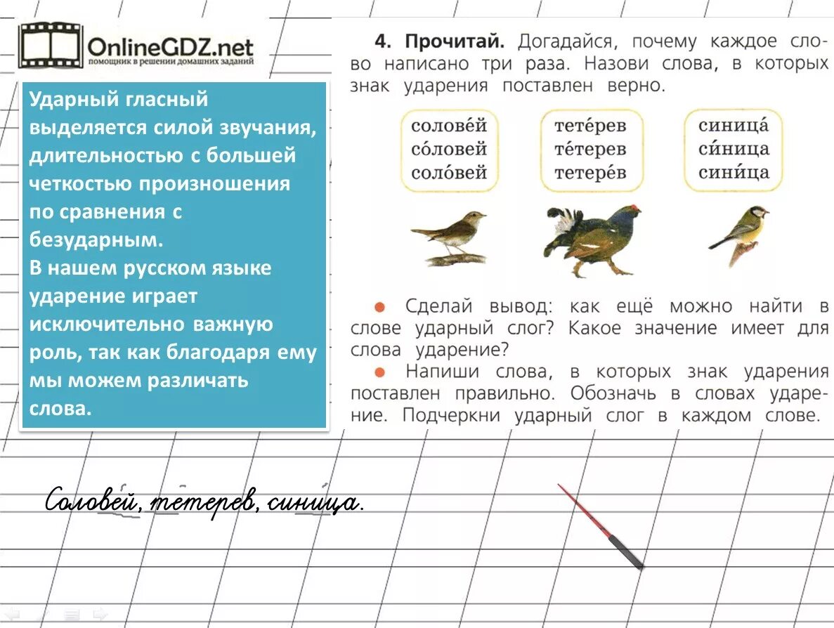 Прочитайте в какой группе предложений. Подчеркнуть ударный слог в слове. Ударный слог в слове Соловей. Подчеркни в словах ударный слог. Ударение 1 класс.