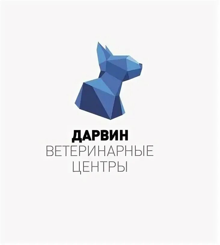 Дарвин чертановская ул 45а корп 1. Дарвин ветклиника ульяновск. Улица чертановская ветклиника. Дарвин чертановская ул 45а корп 1. Чертановская 45а к1.