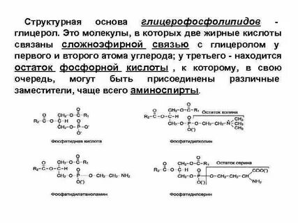 Какое из перечисленных веществ содержит сложноэфирную группировку