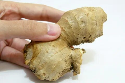 Кожаный корень