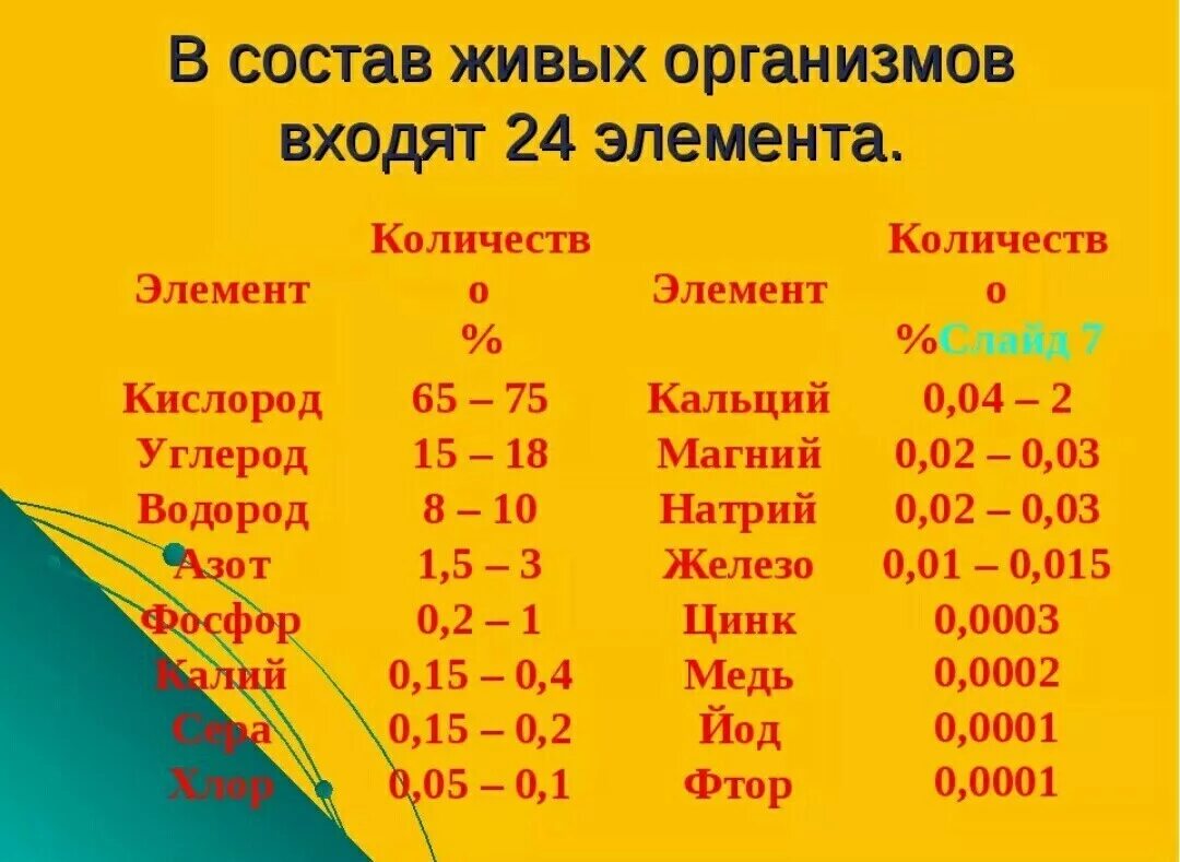 Перечислите элементы составляющие