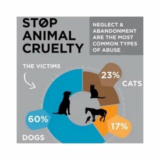 ⚖ ️┃ New Animal Cruelty Law Neko Amino.