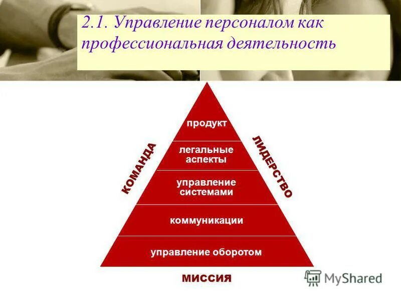 профессиональные основы управления