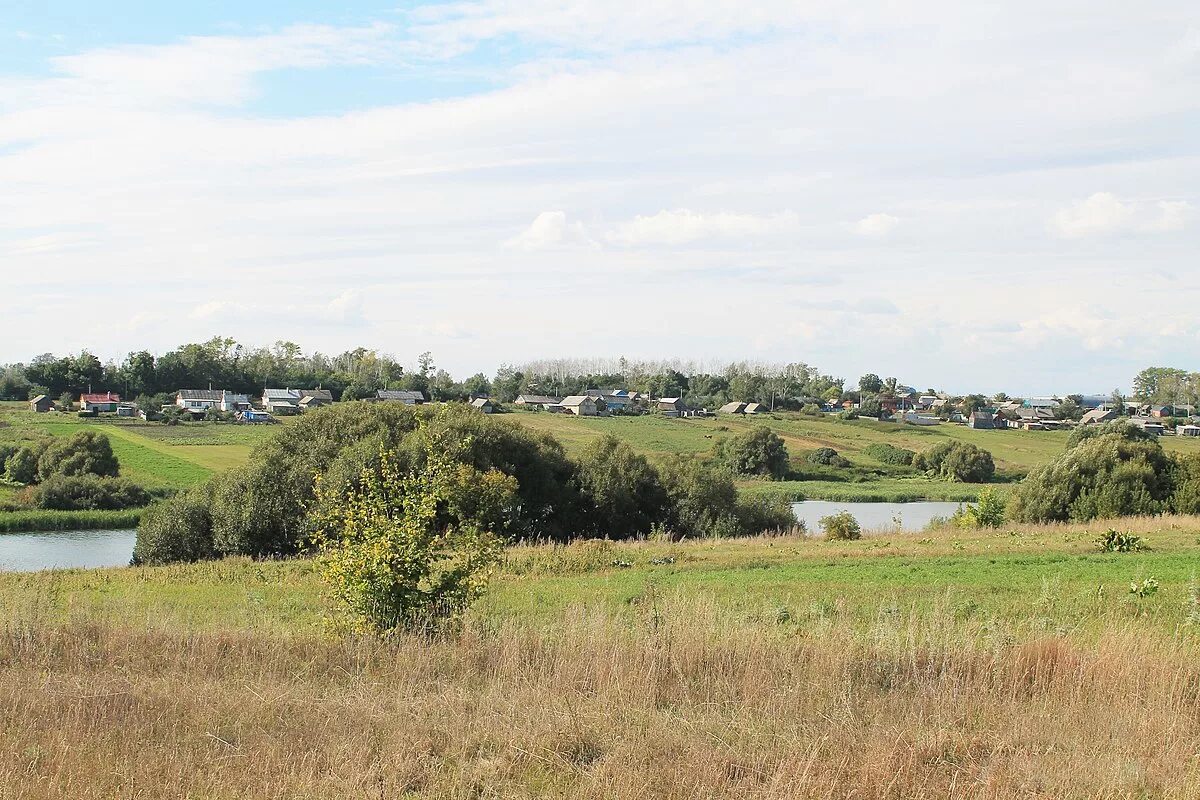тамбовская обл сосновский р он с дельная дубрава. погода дельная дубрава тамбовская область. погода дельная дубрава тамбовская область. погода дельная дубрава тамбовская область. погода дельная дубрава тамбовская область.