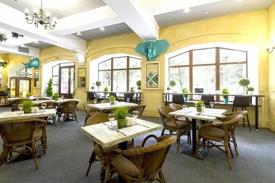 Ресторан кипарис южно сахалинск. Кафе кипарис ялта. кипарис ресторан благовещенск. кипарис кафе веранда. ялта бристоль кафе кипарис.
