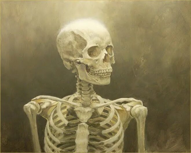 Skeleton face