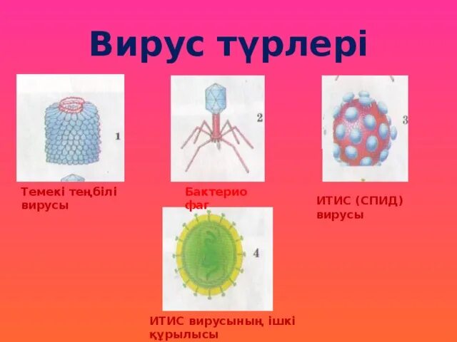 Короновирус презентация қазақша. Вирус деген не. Кампютердик презентация. Вирус на компьютере. Вирустун турлору.