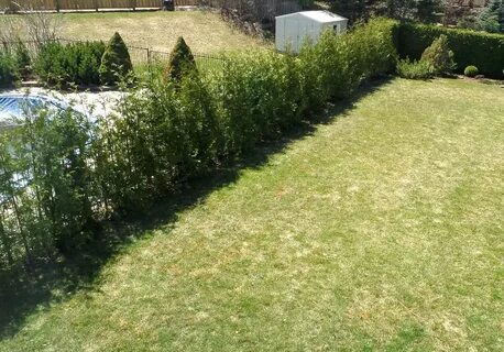 Vite paths