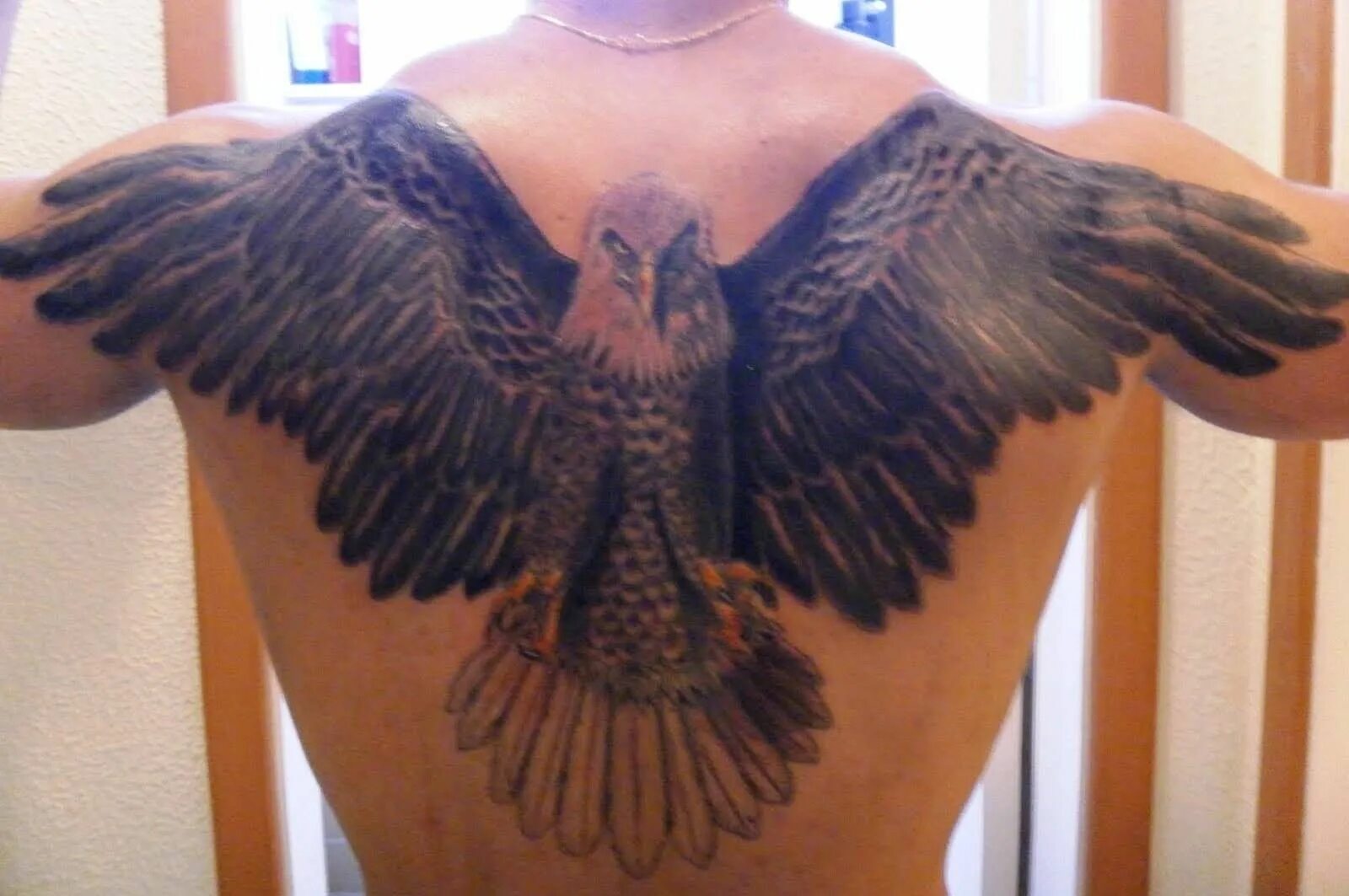 Ястреб на спине. Тату ястреб на спине. Тату коршун. Ястреб на спине. Ястреб на спине.