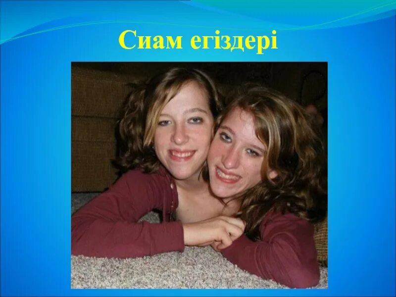 Двухголовый отпрыск. Двухголовый отпрыск