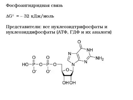 Примеры макроэргических связей