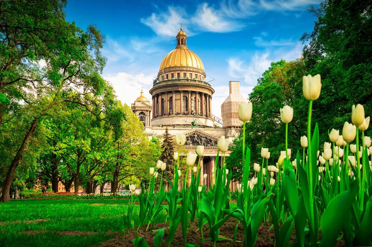 Фото санкт петербурга летом