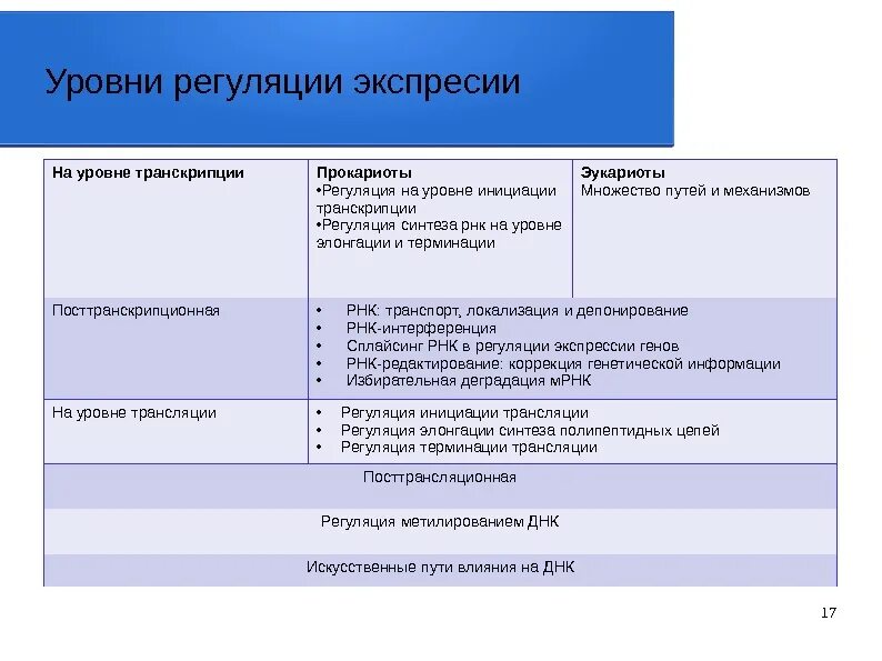 Контроль экспрессии. Уровни контроля экспрессии генов эукариот.. уровни регуляции экспрессии генов у эукариот. перечислите уровни регуляции экспрессии генов эукариот. уровни регуляции у эукариот и их механизмы.