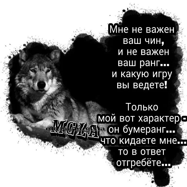 Цитаты волка. Цитаты про Волков со смыслом. Стих про волка. У меня характер Бумеранг. Никогда не проси слова