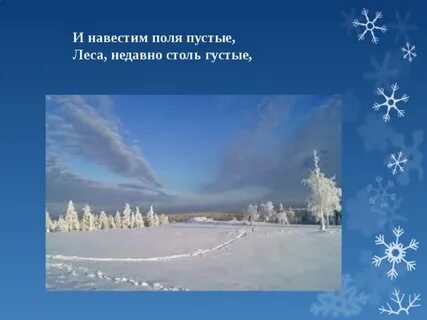 Леса недавно столь густые