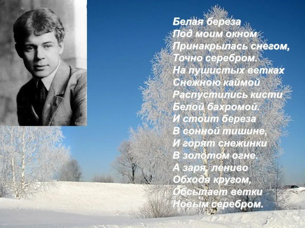 Стихи о зиме русских поэтов. Стихотворения о зиме русских поэтов. Стихотворение Есенина зима. Стихи о зиме русских поэтов классиков. Стихи есенина снег