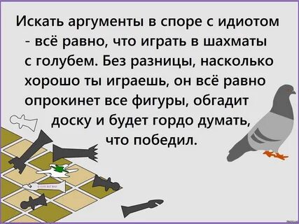 Спорить с дураком все равно что играть в шахматы с голубем картинка - Фотобанк